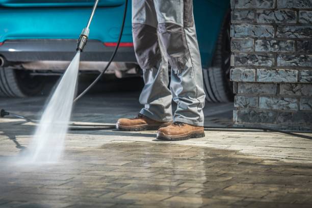 Best Paint Preparation  in Arvin, CA